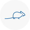Mice Exterminators In Alvechurch
